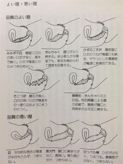 膣 数の子|数の子天井とは？女性の様々な名器や調べ方、体験談。